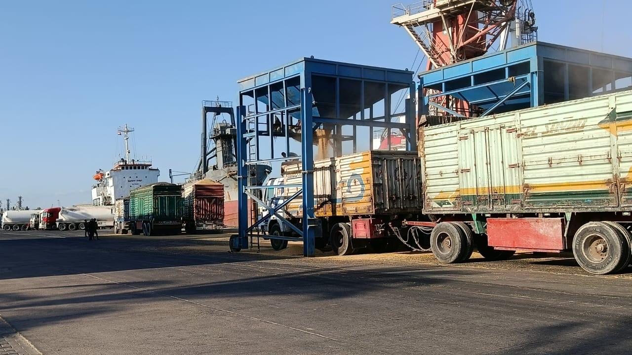 Trucks lined up at port